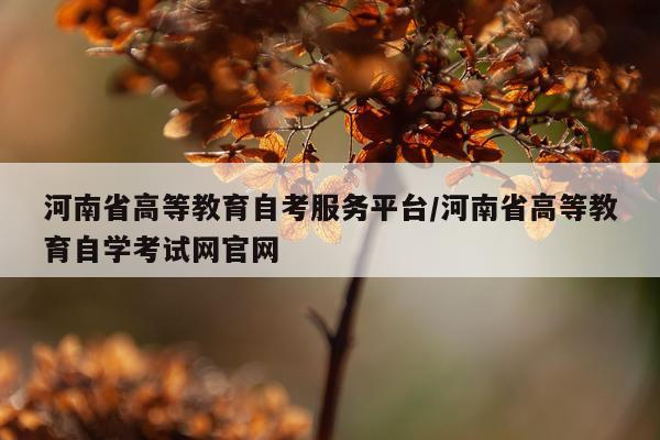 河南省高等教育自考服务平台/河南省高等教育自学考试网官网