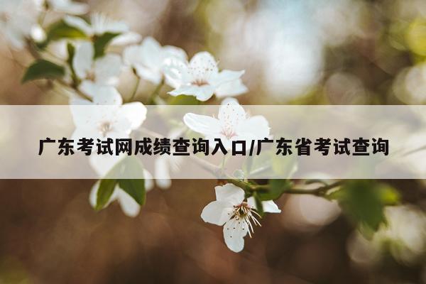 广东考试网成绩查询入口/广东省考试查询