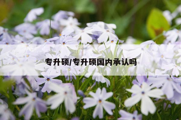 专升硕/专升硕国内承认吗