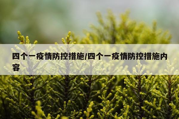 四个一疫情防控措施/四个一疫情防控措施内容