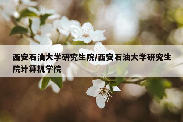 西安石油大学研究生院/西安石油大学研究生院计算机学院
