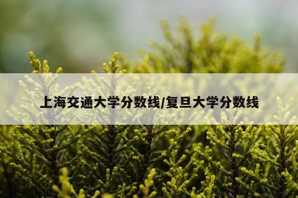 上海交通大学分数线/复旦大学分数线