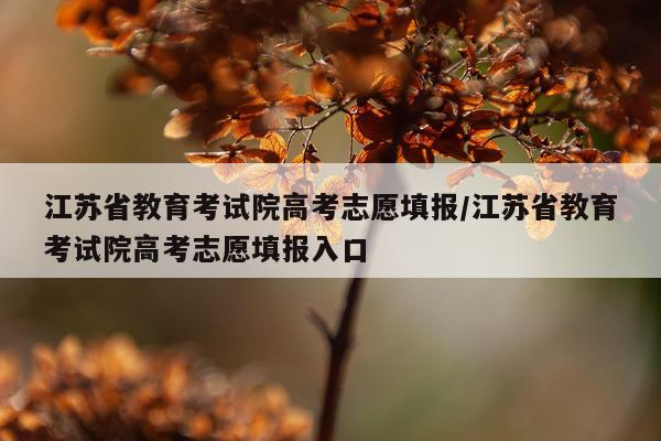江苏省教育考试院高考志愿填报/江苏省教育考试院高考志愿填报入口