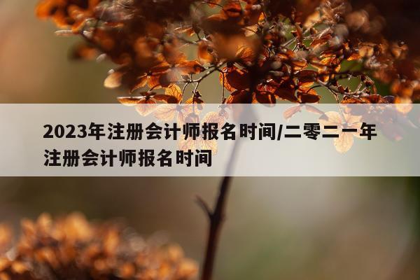 2023年注册会计师报名时间/二零二一年注册会计师报名时间
