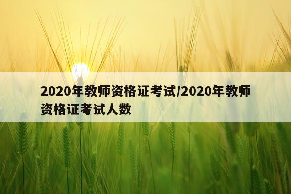 2020年教师资格证考试/2020年教师资格证考试人数