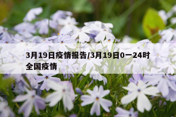 3月19日疫情报告/3月19日0一24时全国疫情