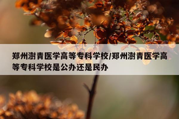 郑州澍青医学高等专科学校/郑州澍青医学高等专科学校是公办还是民办