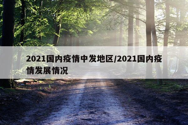 2021国内疫情中发地区/2021国内疫情发展情况