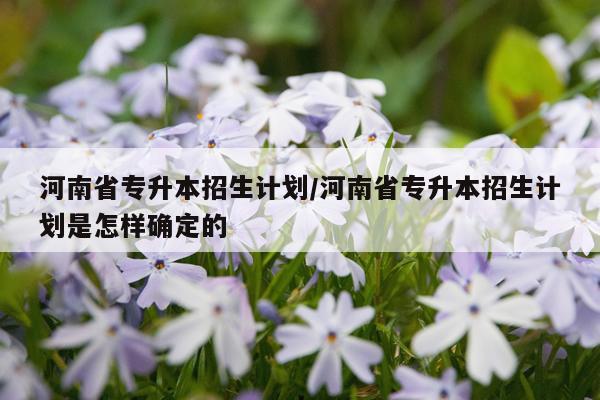 河南省专升本招生计划/河南省专升本招生计划是怎样确定的