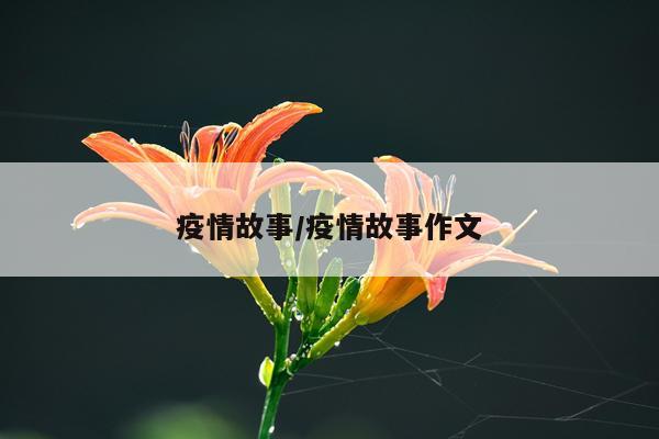 疫情故事/疫情故事作文