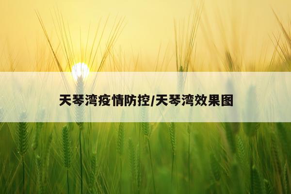 天琴湾疫情防控/天琴湾效果图