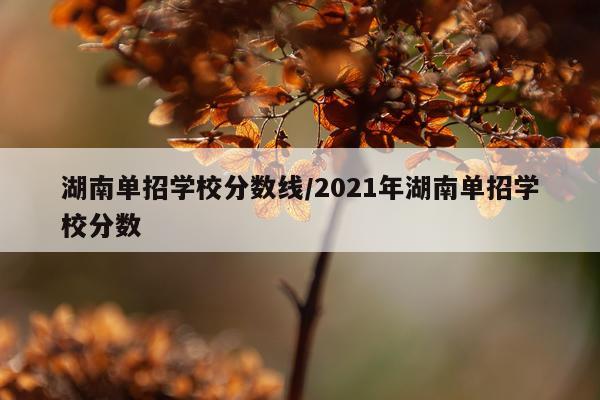 湖南单招学校分数线/2021年湖南单招学校分数