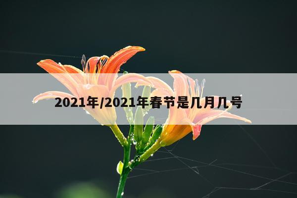 2021年/2021年春节是几月几号