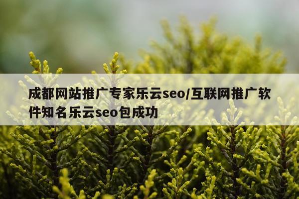 成都网站推广专家乐云seo/互联网推广软件知名乐云seo包成功