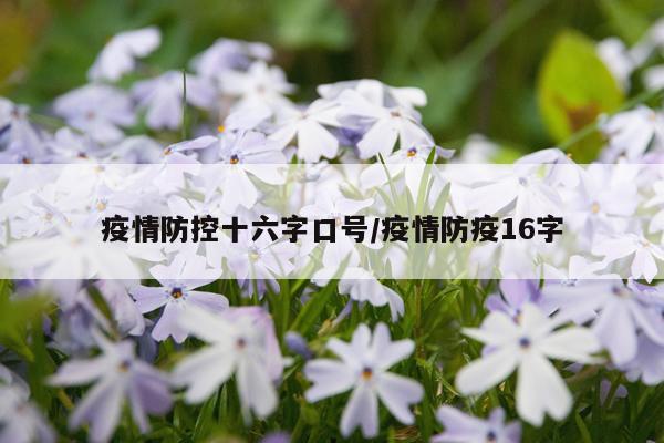 疫情防控十六字口号/疫情防疫16字
