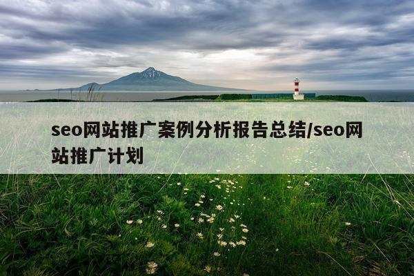 seo网站推广案例分析报告总结/seo网站推广计划