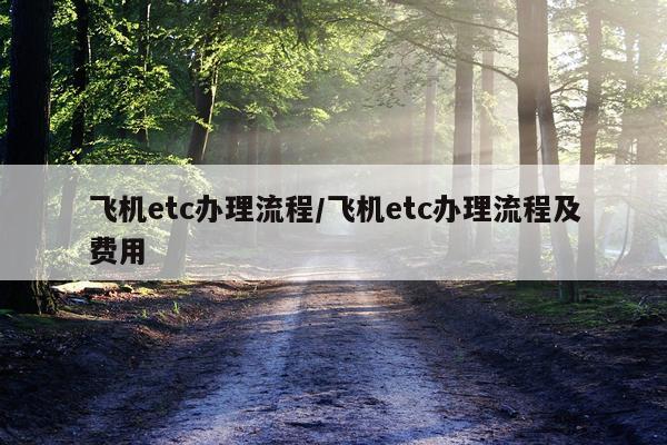 飞机etc办理流程/飞机etc办理流程及费用