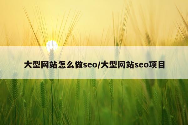 大型网站怎么做seo/大型网站seo项目