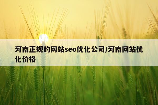 河南正规的网站seo优化公司/河南网站优化价格