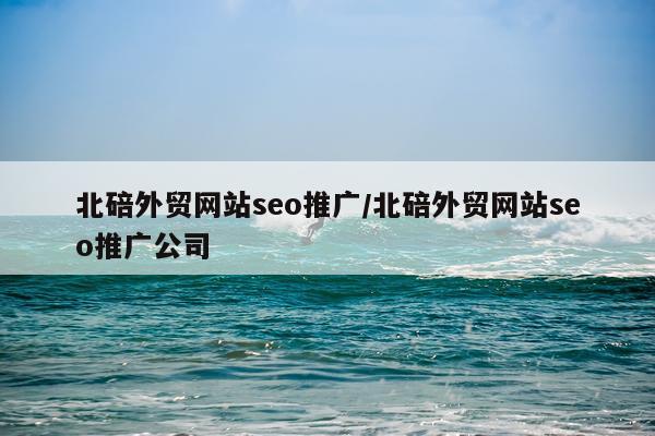 北碚外贸网站seo推广/北碚外贸网站seo推广公司