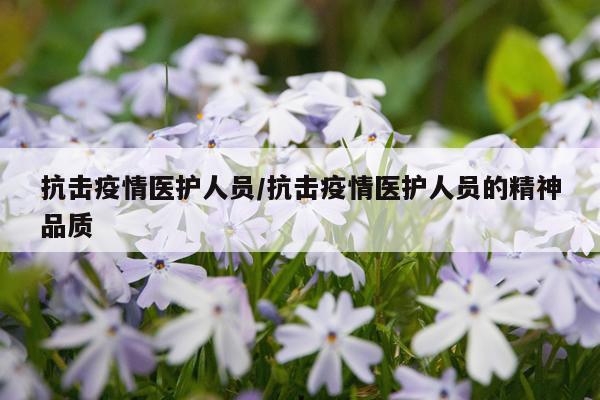 抗击疫情医护人员/抗击疫情医护人员的精神品质