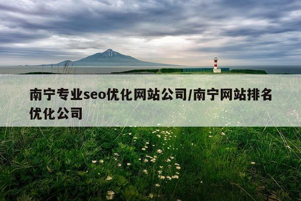 南宁专业seo优化网站公司/南宁网站排名优化公司