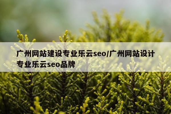 广州网站建设专业乐云seo/广州网站设计专业乐云seo品牌