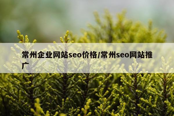 常州企业网站seo价格/常州seo网站推广
