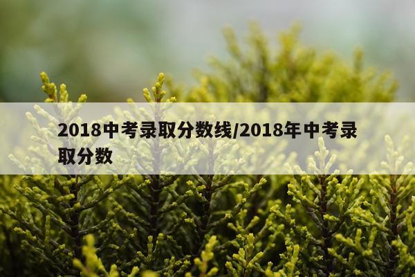 2018中考录取分数线/2018年中考录取分数