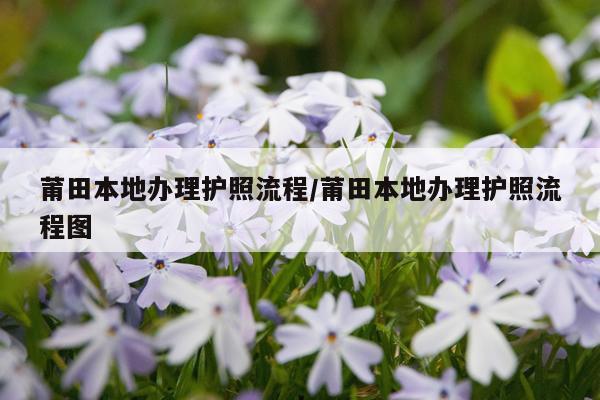 莆田本地办理护照流程/莆田本地办理护照流程图