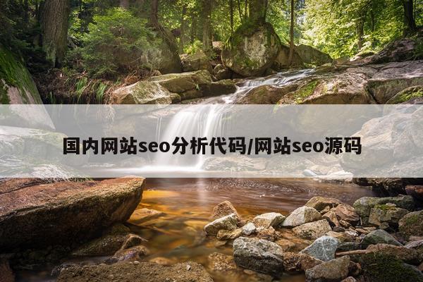 国内网站seo分析代码/网站seo源码