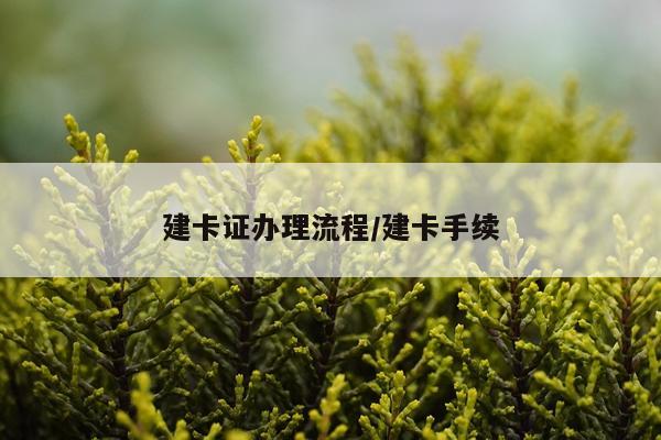 建卡证办理流程/建卡手续