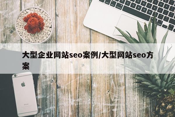 大型企业网站seo案例/大型网站seo方案