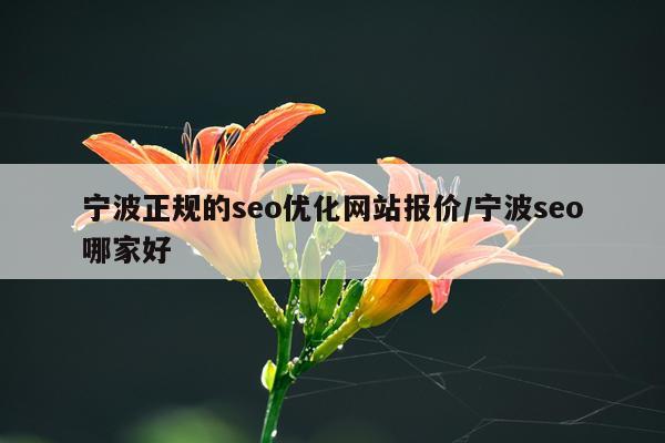宁波正规的seo优化网站报价/宁波seo哪家好