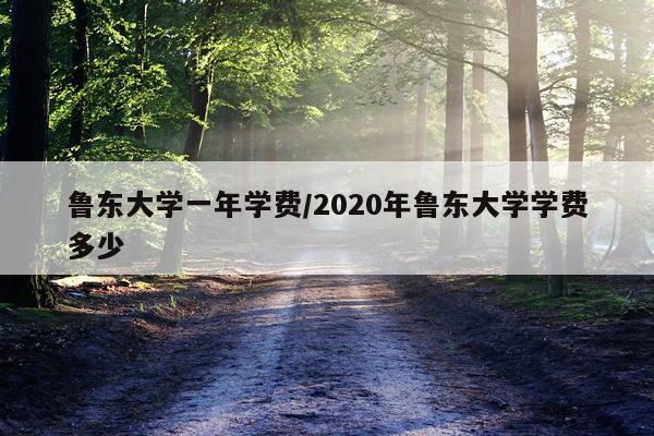 鲁东大学一年学费/2020年鲁东大学学费多少
