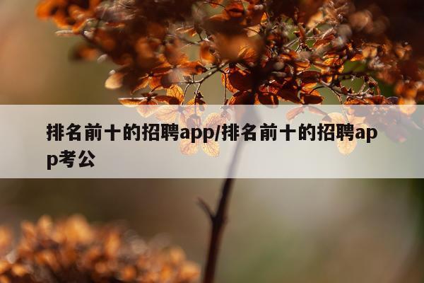 排名前十的招聘app/排名前十的招聘app考公