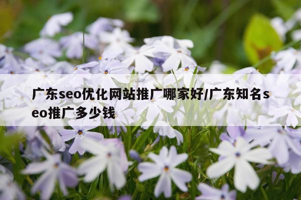 广东seo优化网站推广哪家好/广东知名seo推广多少钱