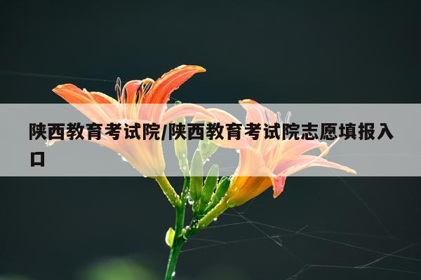 陕西教育考试院/陕西教育考试院志愿填报入口