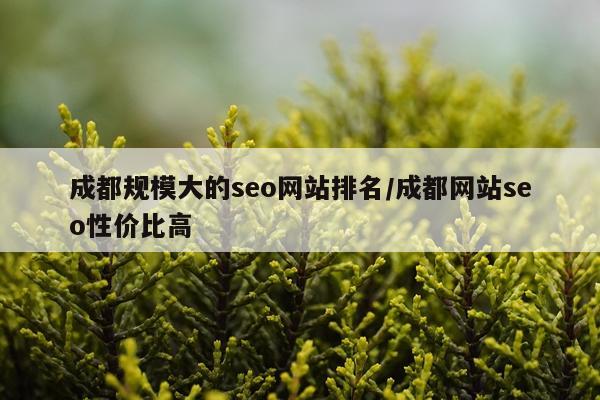 成都规模大的seo网站排名/成都网站seo性价比高
