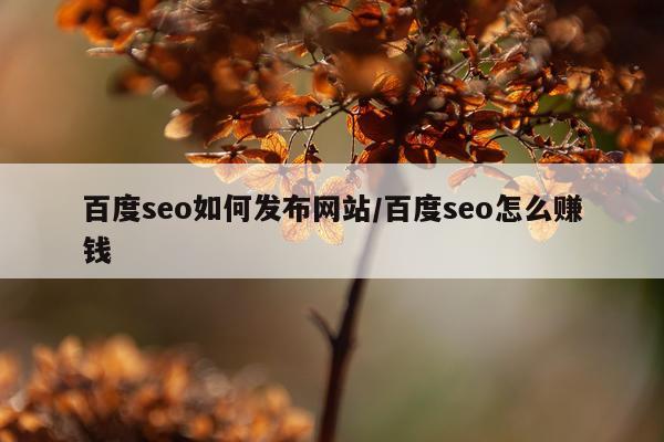 百度seo如何发布网站/百度seo怎么赚钱