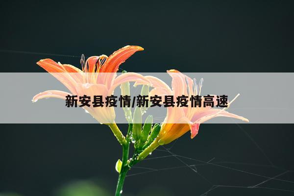 新安县疫情/新安县疫情高速