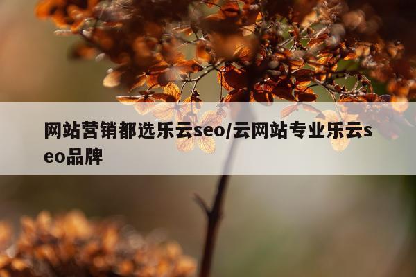 网站营销都选乐云seo/云网站专业乐云seo品牌