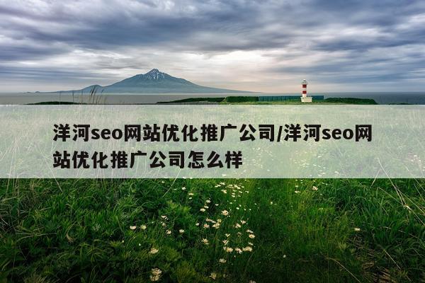 洋河seo网站优化推广公司/洋河seo网站优化推广公司怎么样