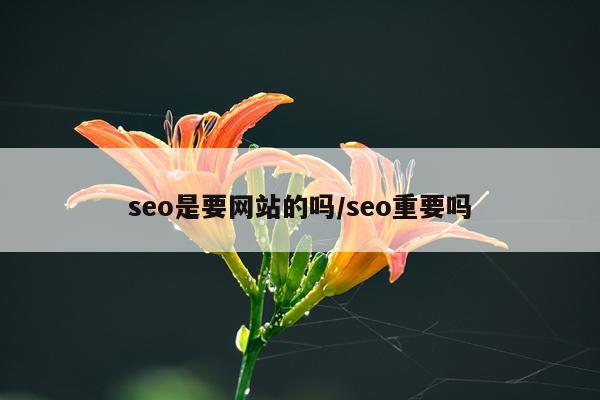 seo是要网站的吗/seo重要吗