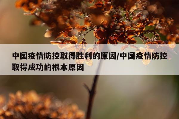 中国疫情防控取得胜利的原因/中国疫情防控取得成功的根本原因
