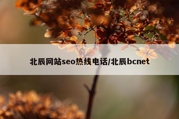 北辰网站seo热线电话/北辰bcnet