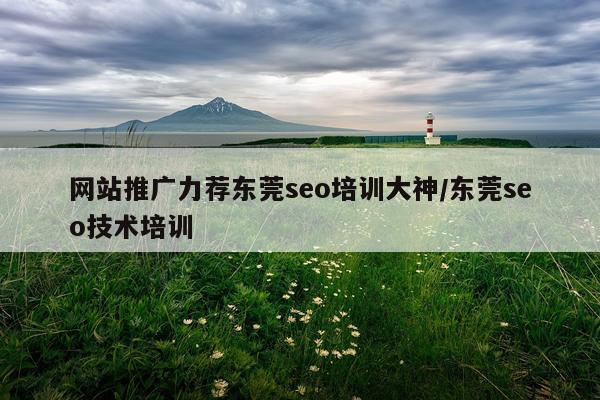 网站推广力荐东莞seo培训大神/东莞seo技术培训