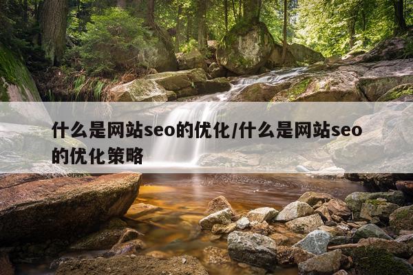 什么是网站seo的优化/什么是网站seo的优化策略
