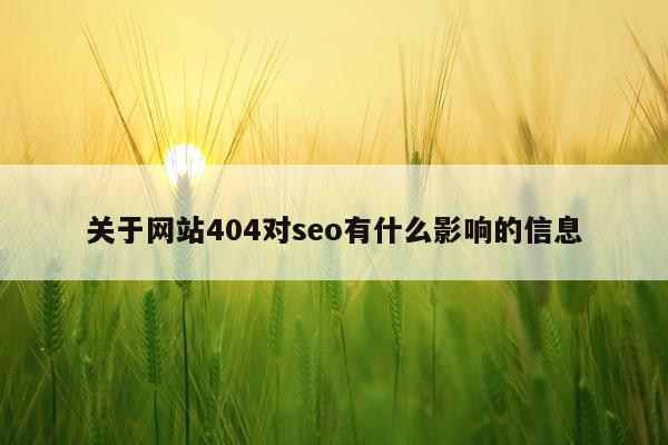 关于网站404对seo有什么影响的信息