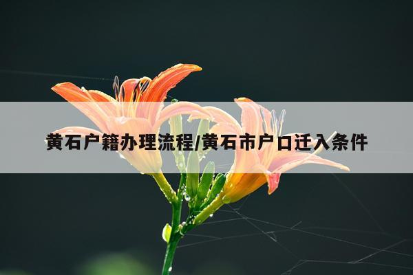 黄石户籍办理流程/黄石市户口迁入条件